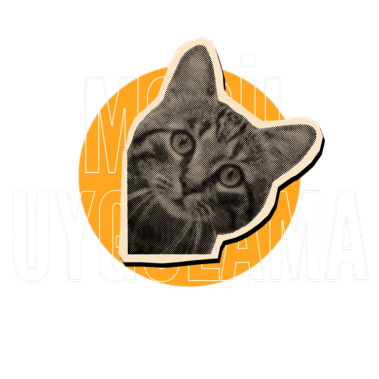 Mobil Uygulama Tasarımı