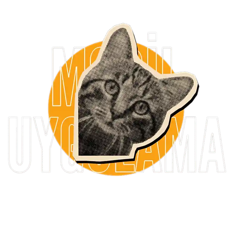 Mobil Uygulama Tasarımı