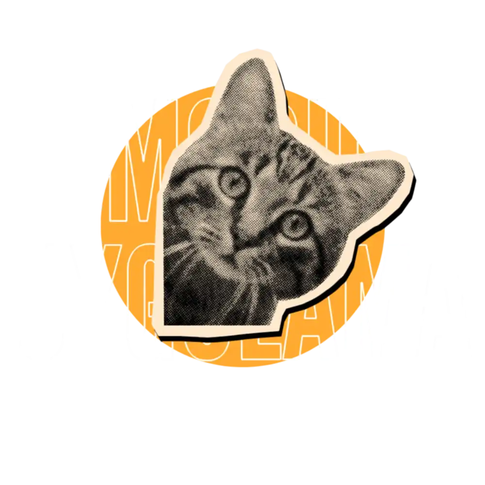 Mobil Uygulama Tasarımı